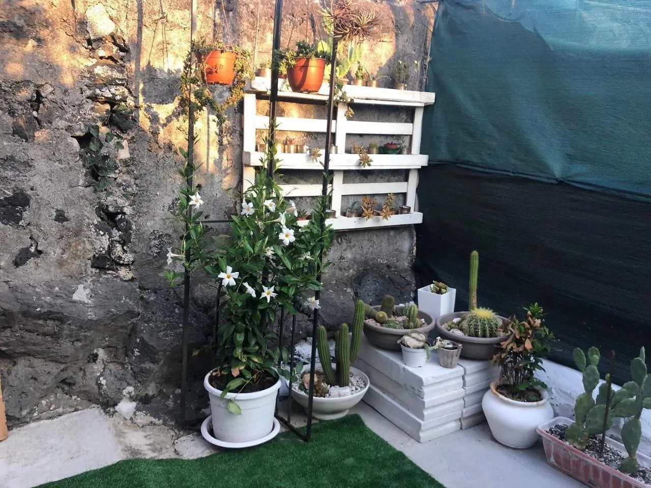 Sicily Garden House Villa Aci Castello